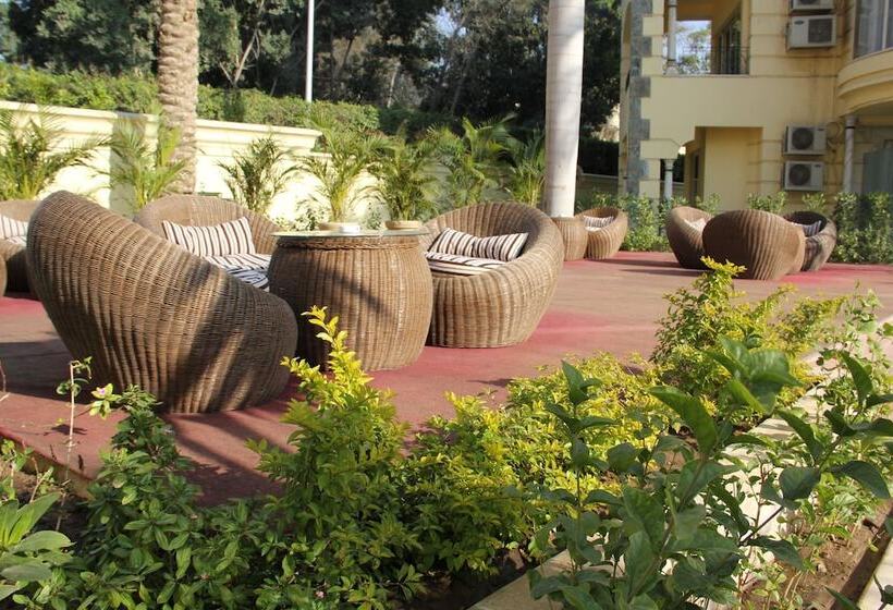 Fotos del hotel Soluxe Cairo:  21