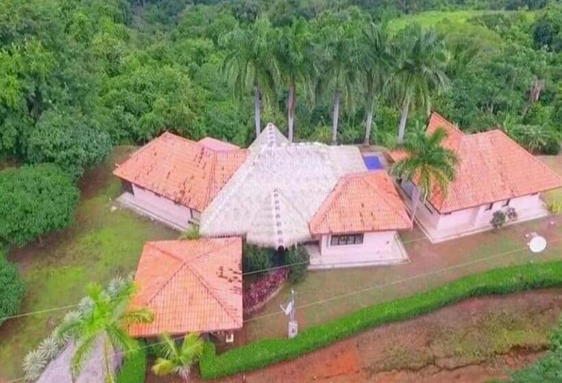 مبيت وإفطار Palmetto Lodge