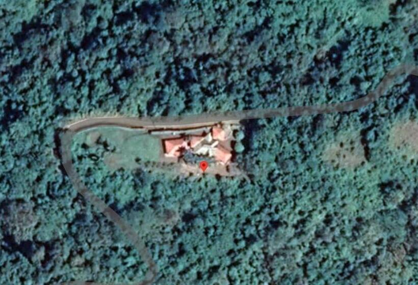 مبيت وإفطار Palmetto Lodge