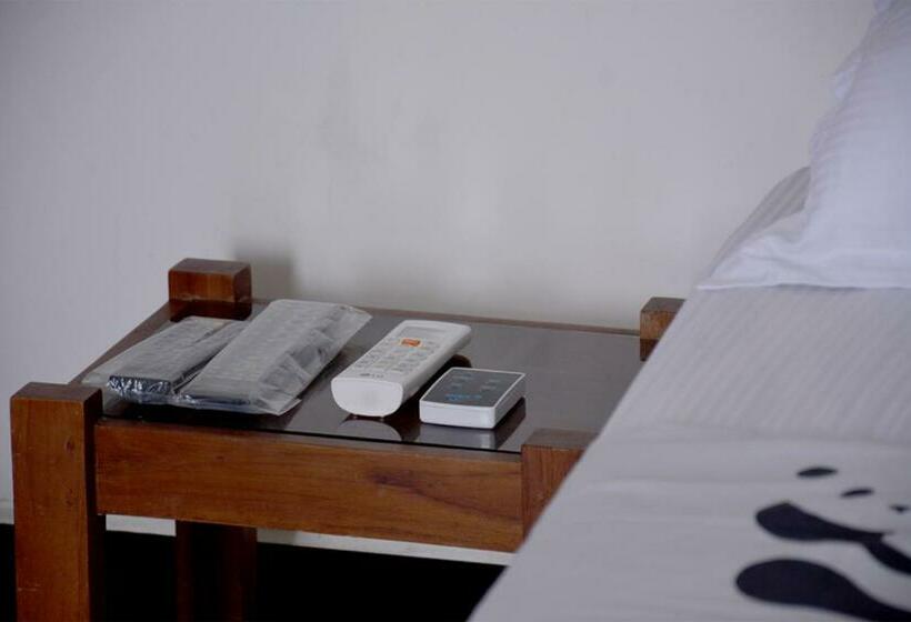 פנסיון Paramata Accommodation