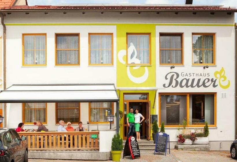 호스텔 Gasthaus Bauer