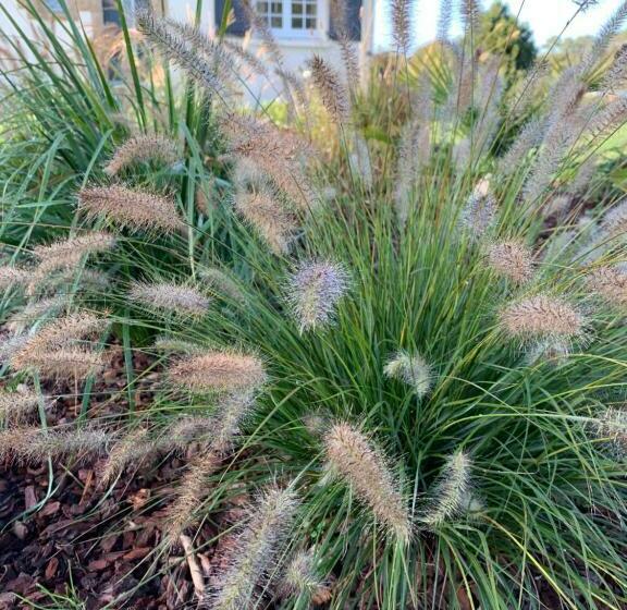 住宿加早餐  Le Ch’ti Breizh Home