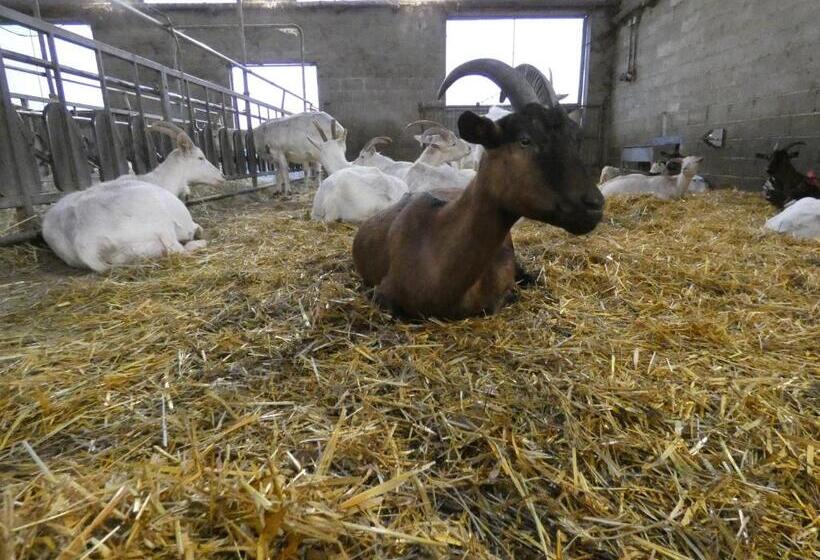 酒店 Agriturismo Why Farm