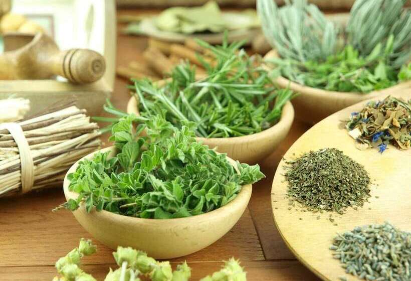 פנסיון Room In Guest Room  Room With Jacuzzi, Vacation Spa House With Turkish Bath