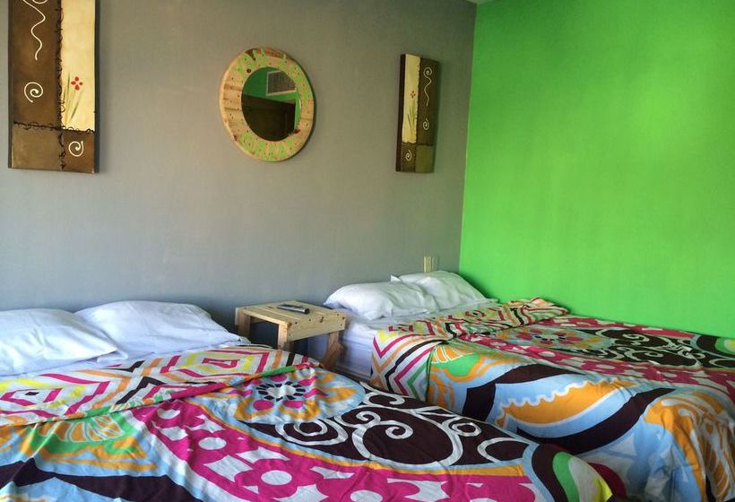 Baja S Cactus Hostel