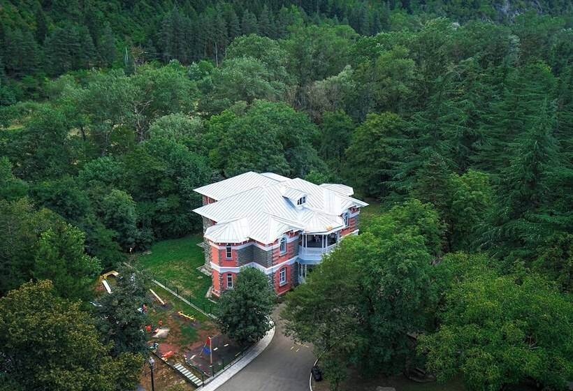 Fotos del hotel Borjomi Likani Health & Spa Centre:  3
