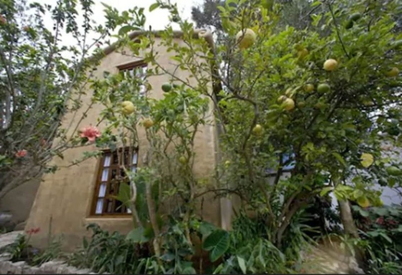 Fotos del hotel Guayaba Inn:  53