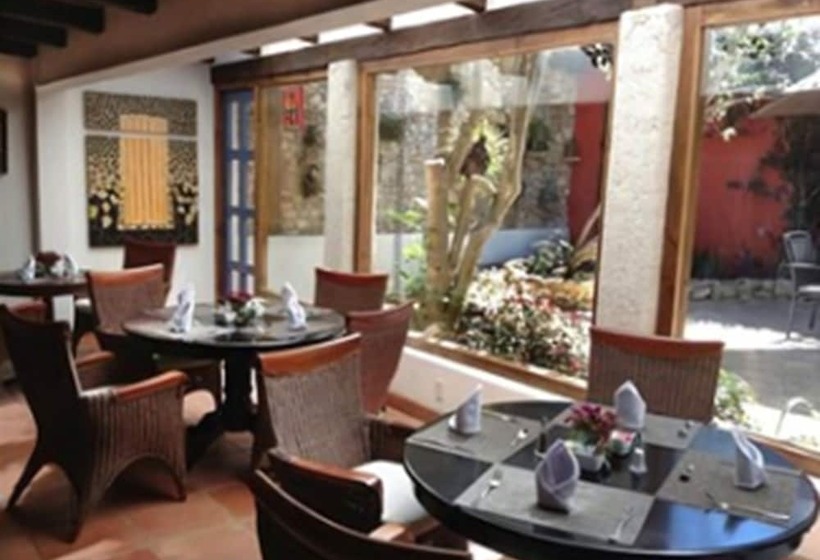 Fotos del hotel Guayaba Inn:  13
