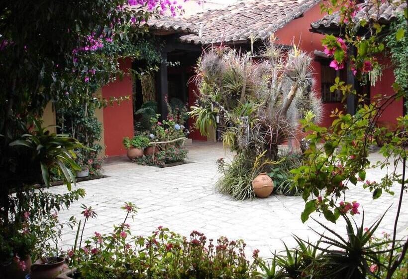 Fotos del hotel Guayaba Inn:  38