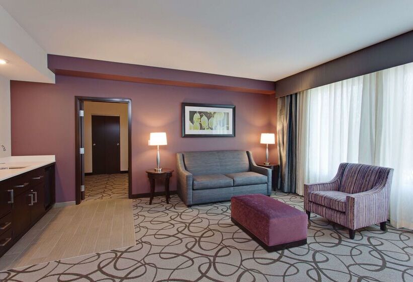 هتل Hilton Garden Inn Irvine/orange County Airport