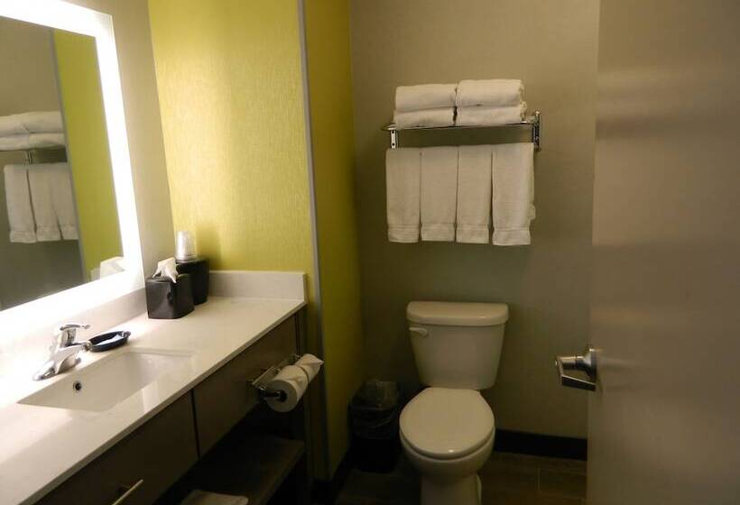 ホテル Holiday Inn Express & Suites Shippensburg, An Ihg