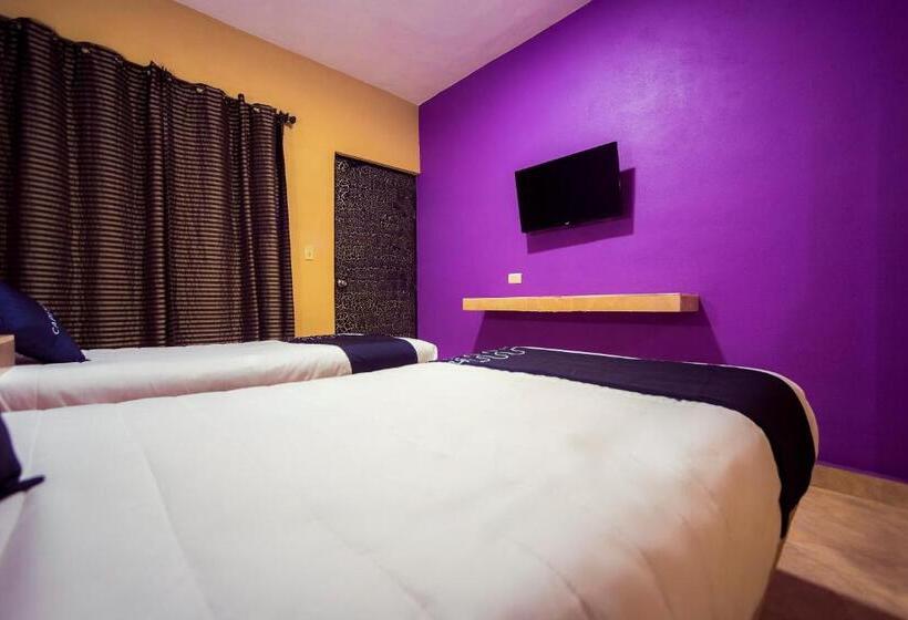 Fotos del hotel La Silla:  2