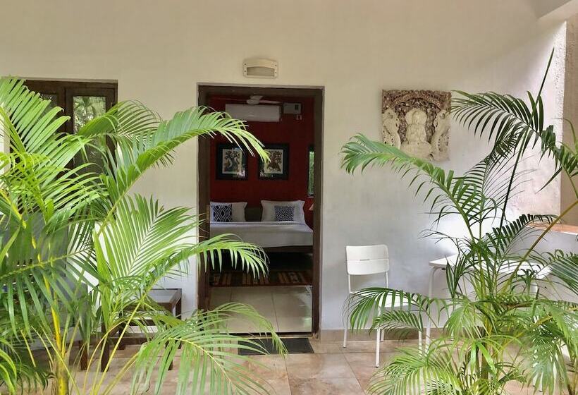 בית מלון כפרי Mango Beach House Kihim Alibaug