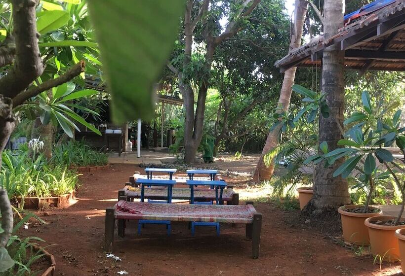 בית מלון כפרי Mango Beach House Kihim Alibaug