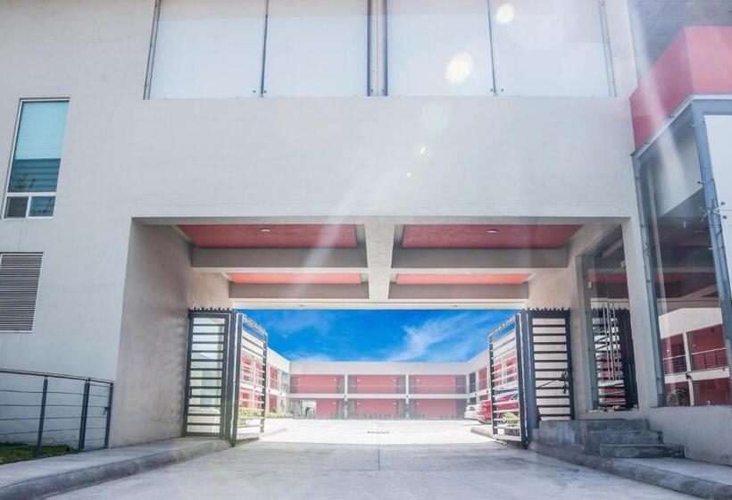 Fotos del hotel Mbm Red Sun:  13