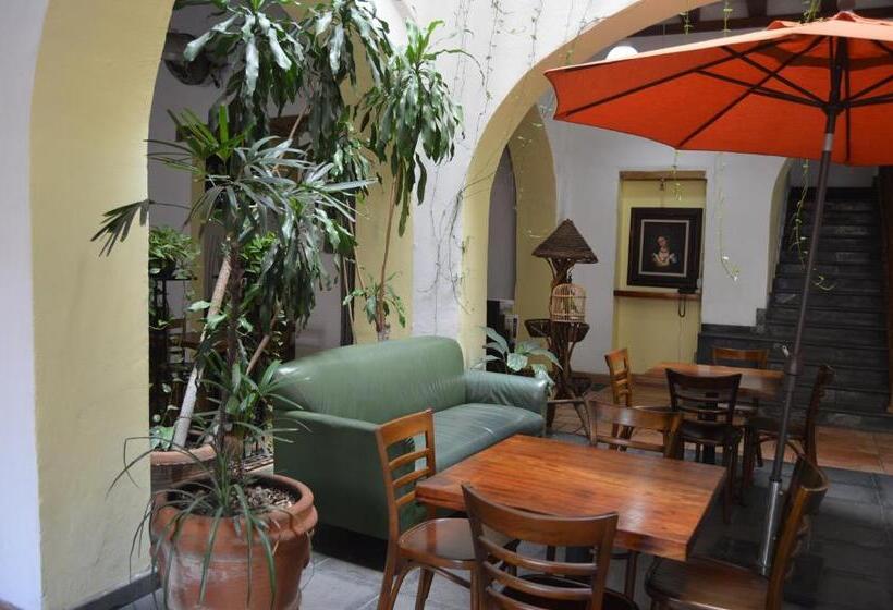 Fotos del hotel Meson Del Mar:  15