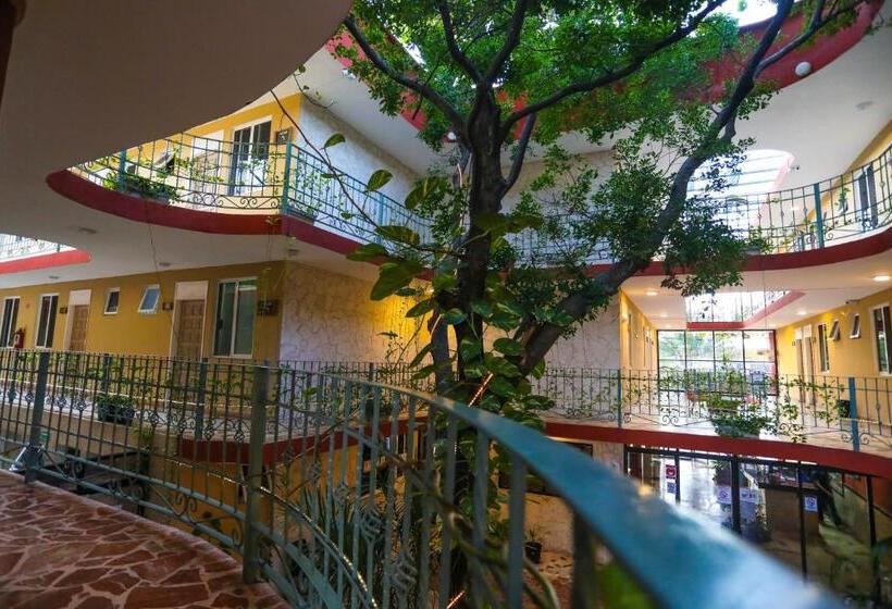 Fotos del hotel Santa Maria:  30