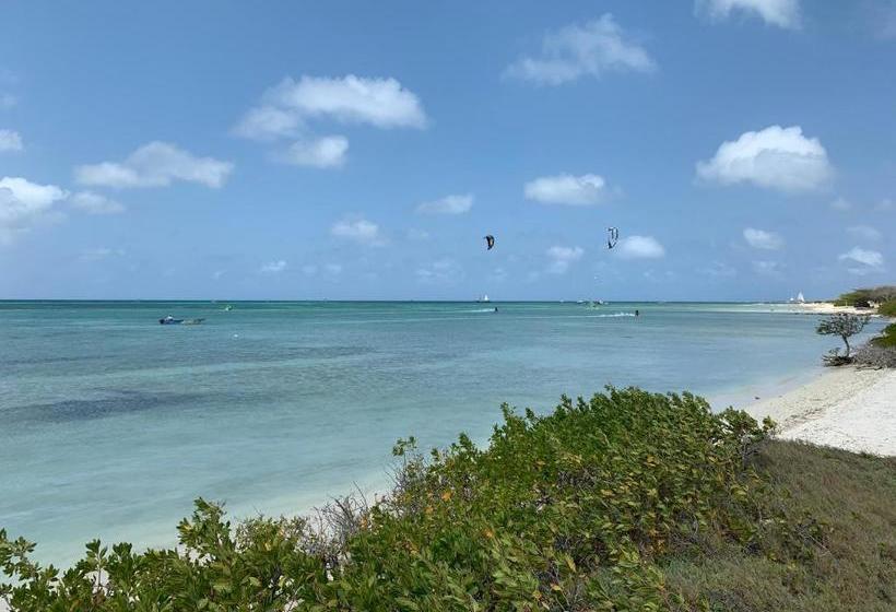 Boutique Hotel Swiss Paradise Aruba Villas And Suites