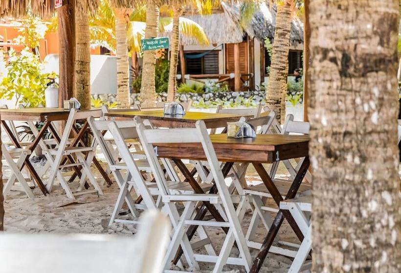 هتل Zomay Beachfront Holbox