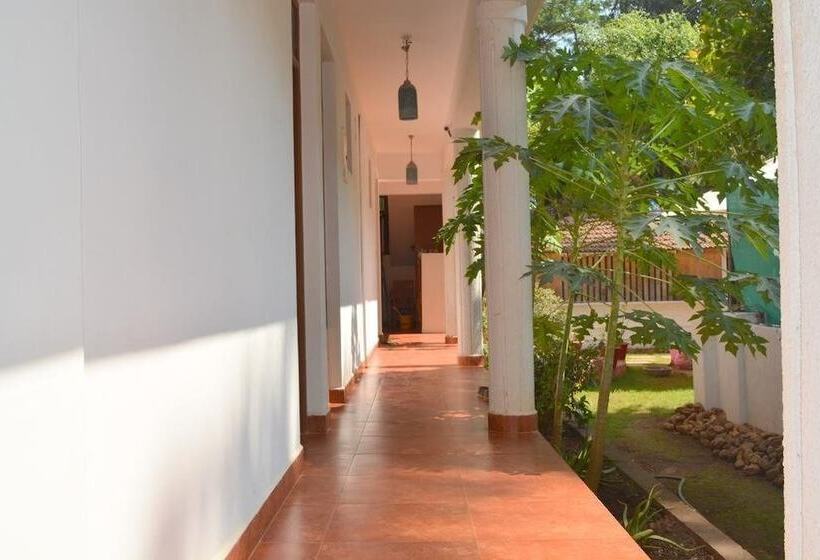 پانسیون Pebbles Guesthouse