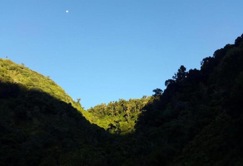 אתר נופש Dantica Cloud Forest Lodge