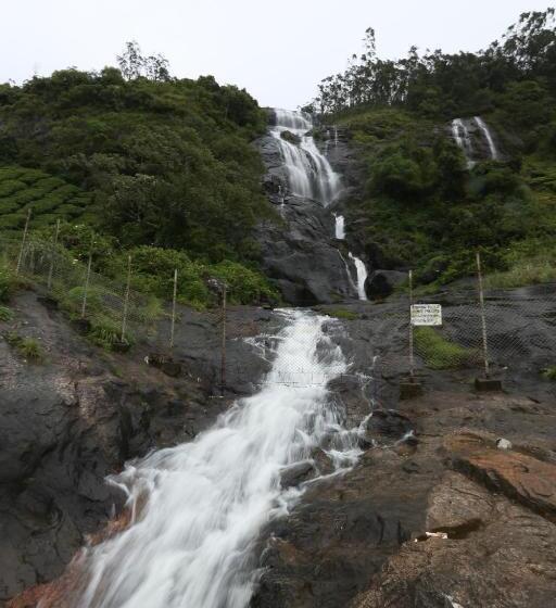 אתר נופש Spicetree Munnar