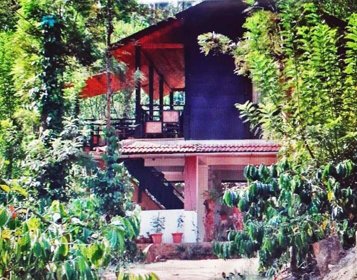 渡假胜地  Turtle Pond Home Stay