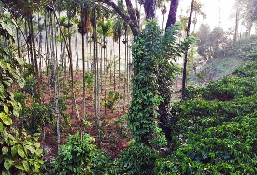 渡假胜地  Turtle Pond Home Stay