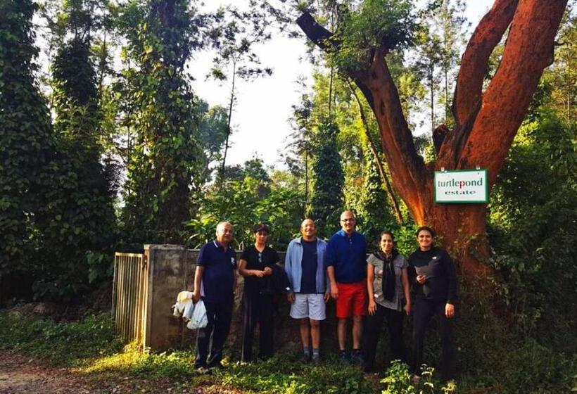 渡假胜地  Turtle Pond Home Stay
