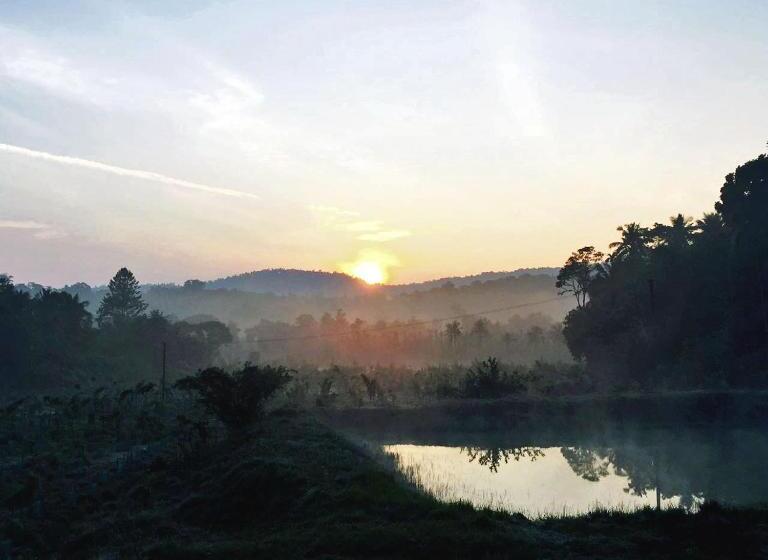 渡假胜地  Turtle Pond Home Stay