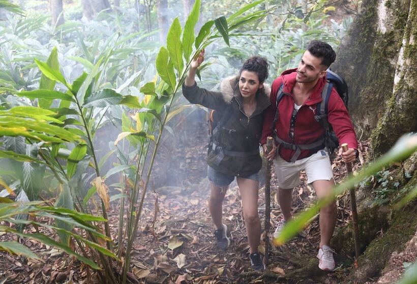 ホテル Fragrant Nature Munnar A Five Star Classified