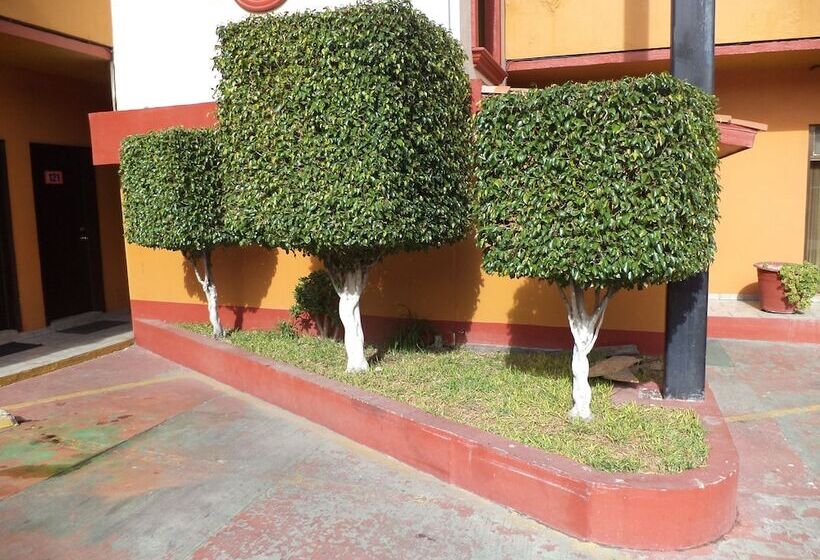 Fotos del hotel San Juan Inn:  2