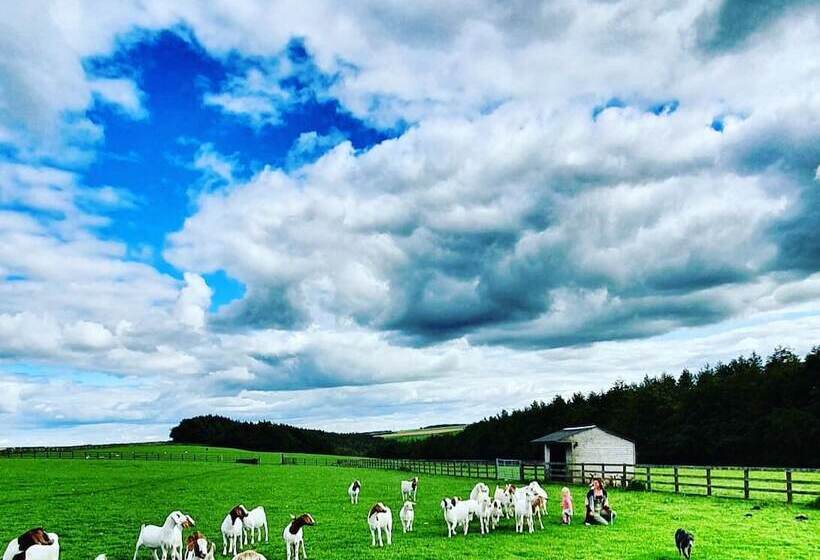 Bed and Breakfast High Paradise Farm