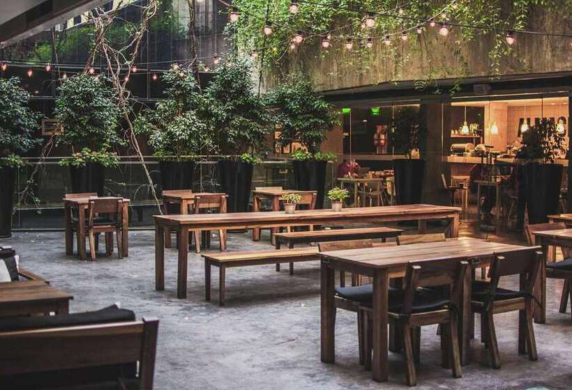 Fotos del hotel Anselmo Buenos Aires, Curio Collection By Hilton:  7