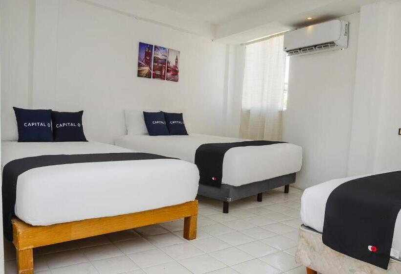 Capital O Hotel Dos Mares, Cabo San Lucas