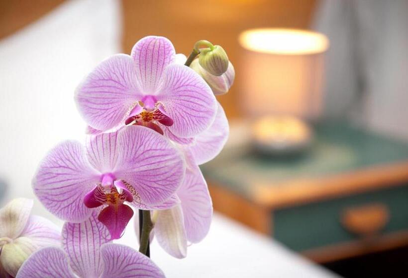 ホテル Castel De Siam