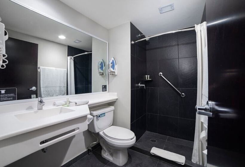 ホテル City Express Plus By Marriott Cabo San Lucas