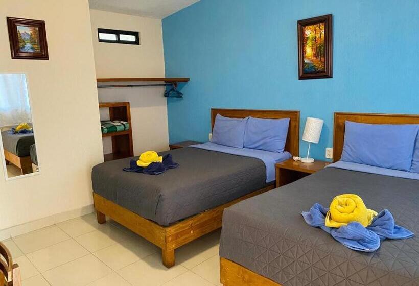 فندق Tres Flores