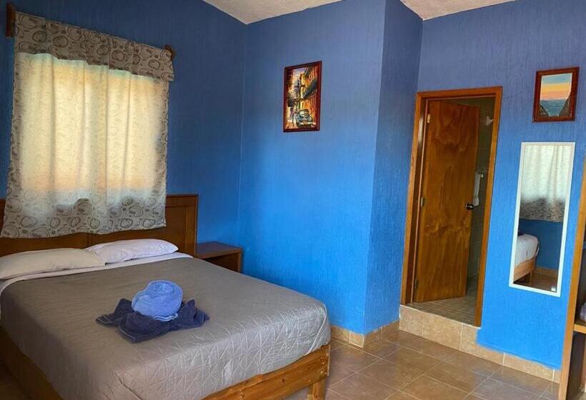 فندق Tres Flores