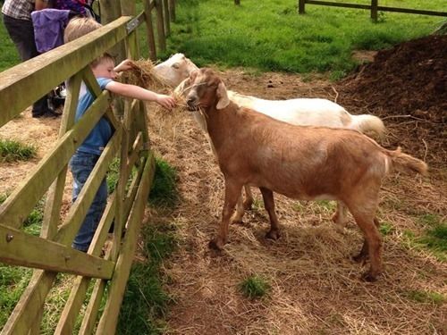 Huntstile Organic Farm