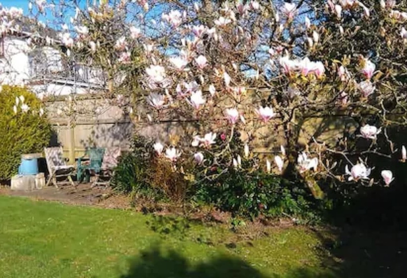 پانسیون Tudor Court
