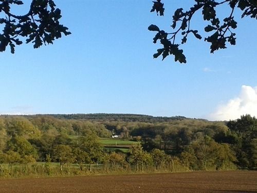 مبيت وإفطار Amberley Cottage