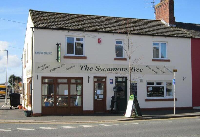 مبيت وإفطار The Sycamore Tree