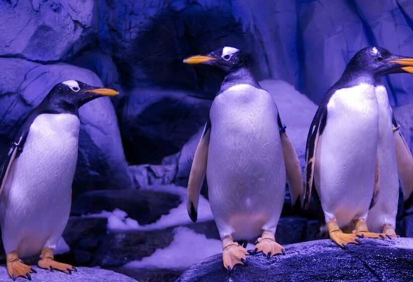 Fotos del hotel Crowne Plaza Istanbul Florya, An Ihg:  27