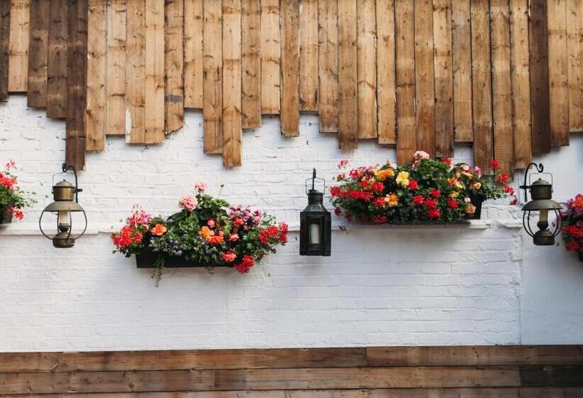 Fotos del hotel The Captain Cook:  16