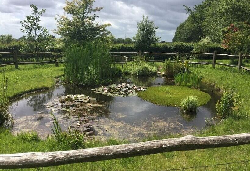 ペンション The Granary Bed And Breakfast