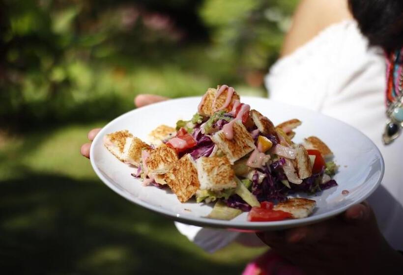 Cămin Air Manis Hillside Villa Cafe & Resto