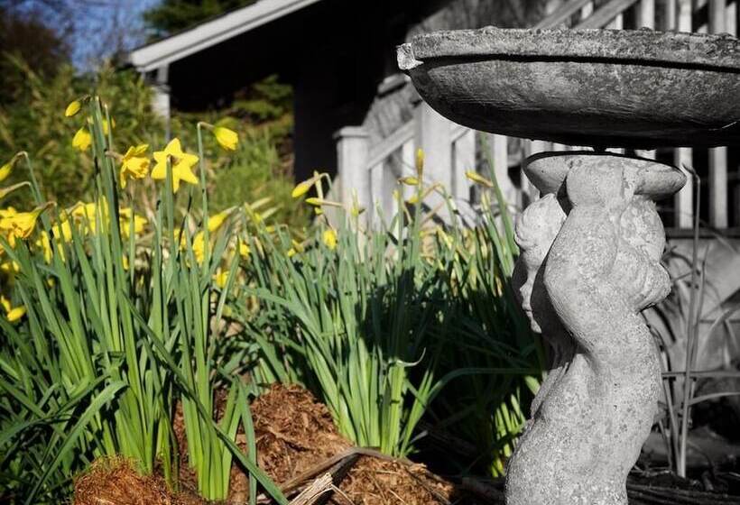 مبيت وإفطار Cherryhill Lodge