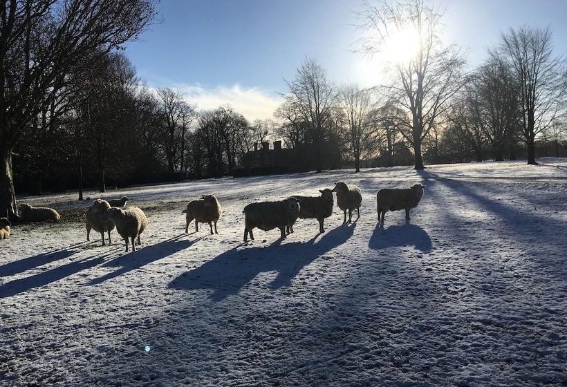 مبيت وإفطار The Old Vicarage
