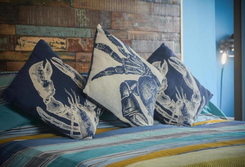 Farne Island Bed And Breakfast